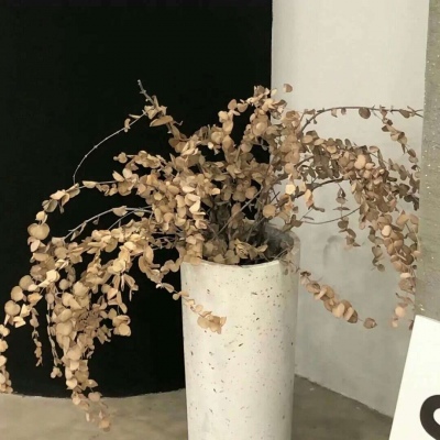 Furry插画构图技巧兽圈社群